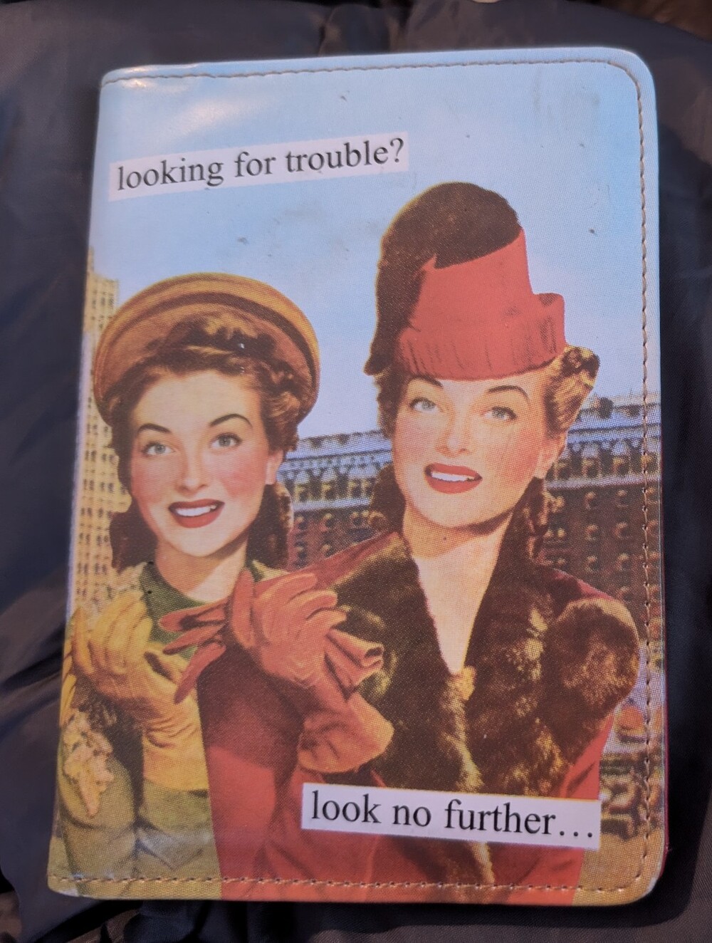 Retro Illustrated Passport Wallet in Multicolor